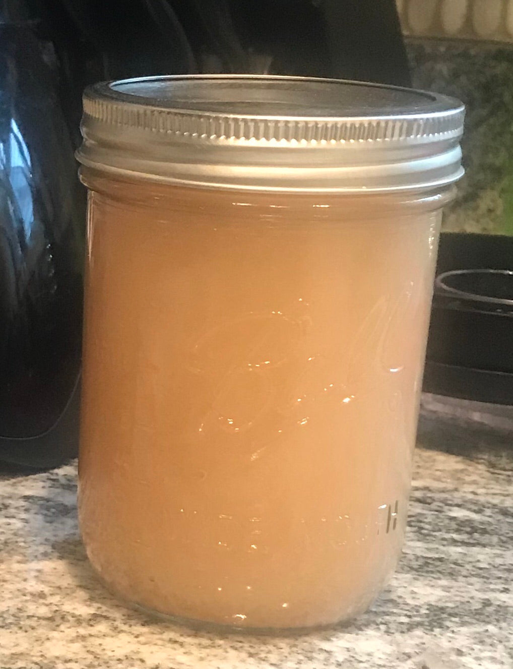 Sea Moss Gel -KIT
