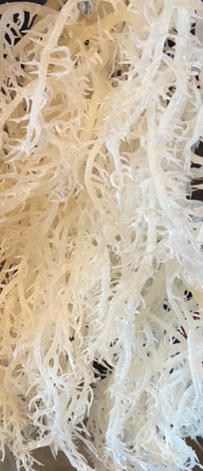Sea Moss Gel -KIT