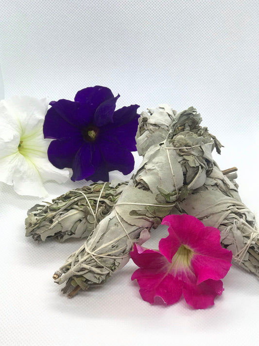 Lavender Sage (small)